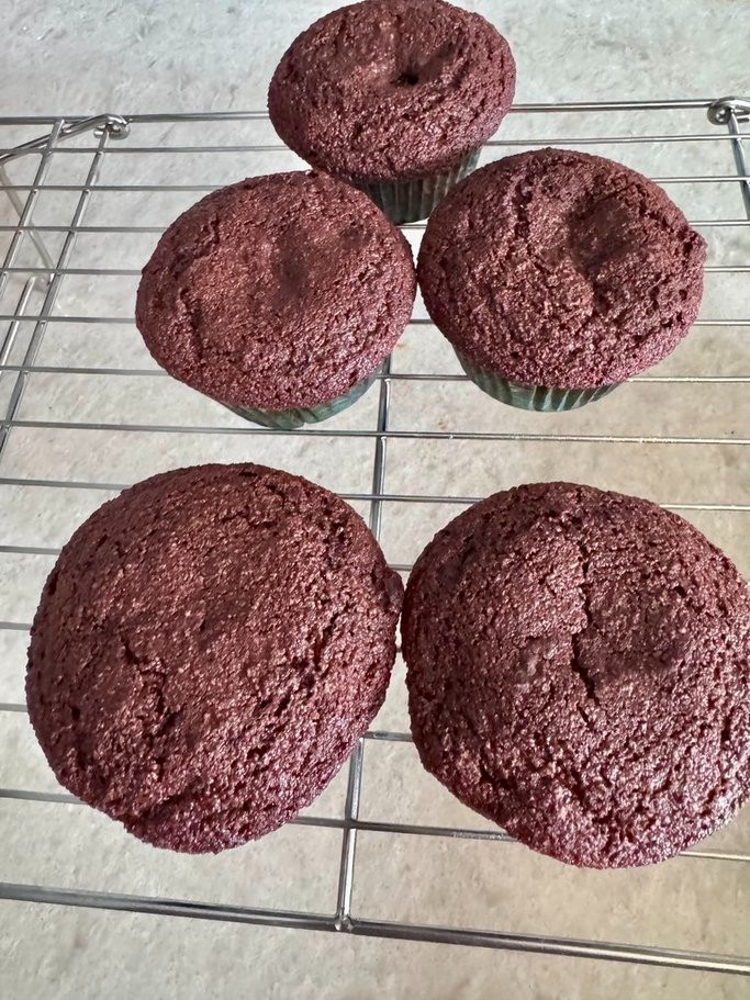 Keto Chocolate Chocolate Chip Muffins * gluten free * diabetic safe