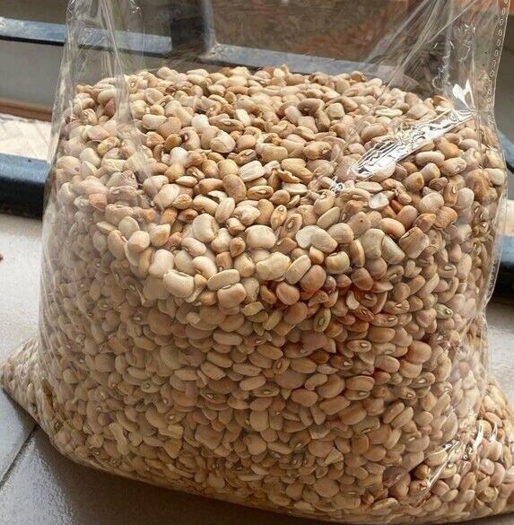 Honey (Oloyin) Beans -10lbs. Hand Picked & Ready To Cook. 10lb