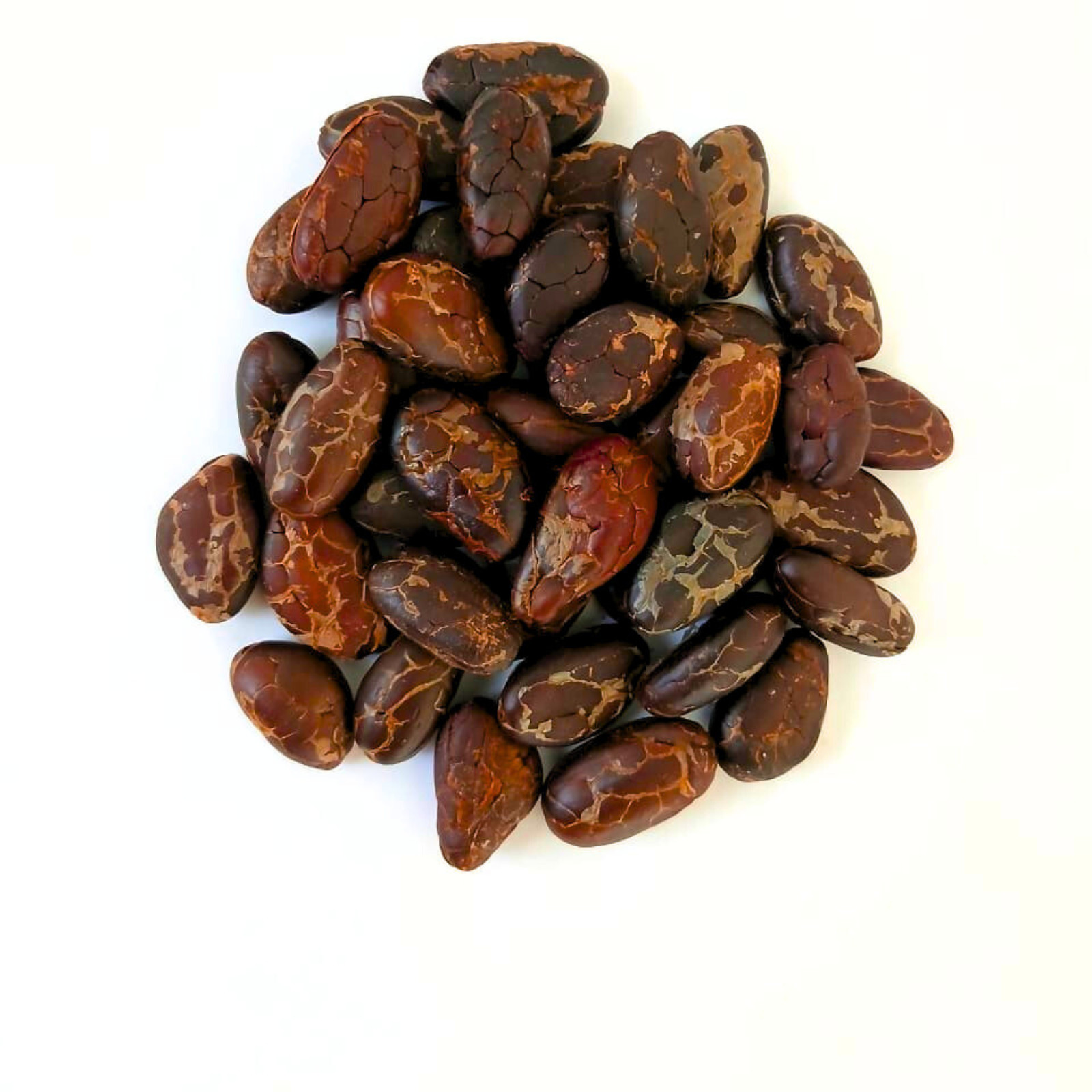 Organic Black Cocoa Beans | Raw Whole Cacao | Superfood for Chocolate & Tea