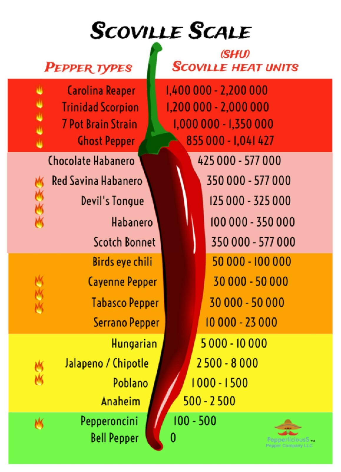 20 PODS GHOST – 2007 Guinness World’s Hottest – Whole Dried Chile Pepper Pods