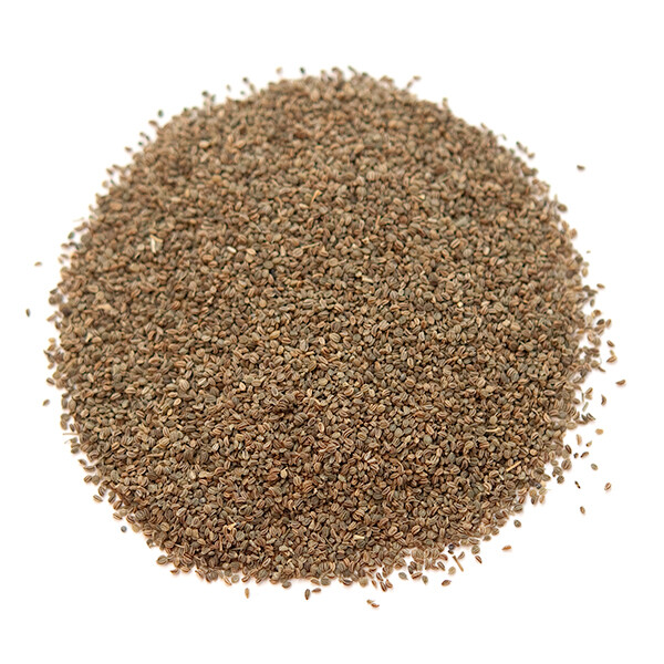 Celery Seed | Bulk | Spice Jungle