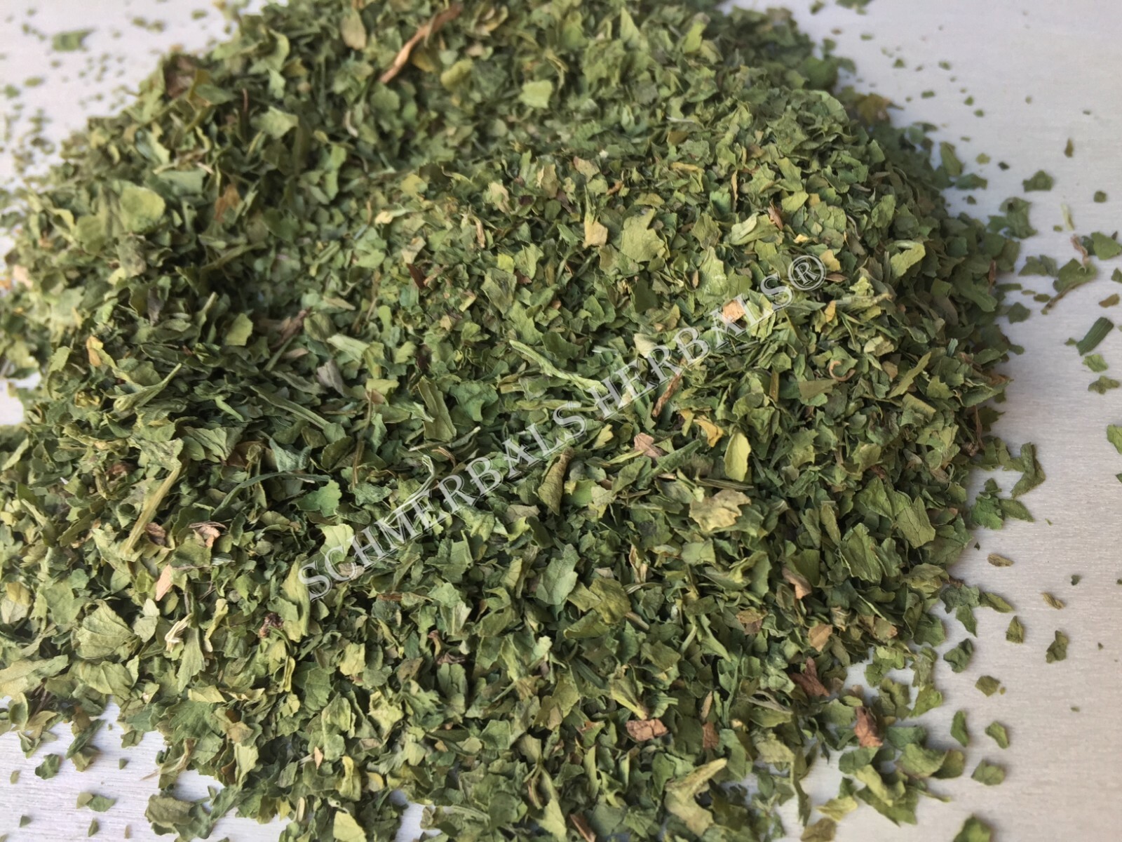 Cilantro, Coriandrum sativum, All Natural ~ Schmerbals Herbals