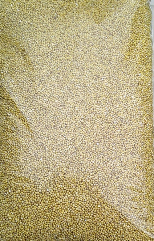 Hulled Organic Millet 5 Lbs. USA Grown Non GMO Free Shipping