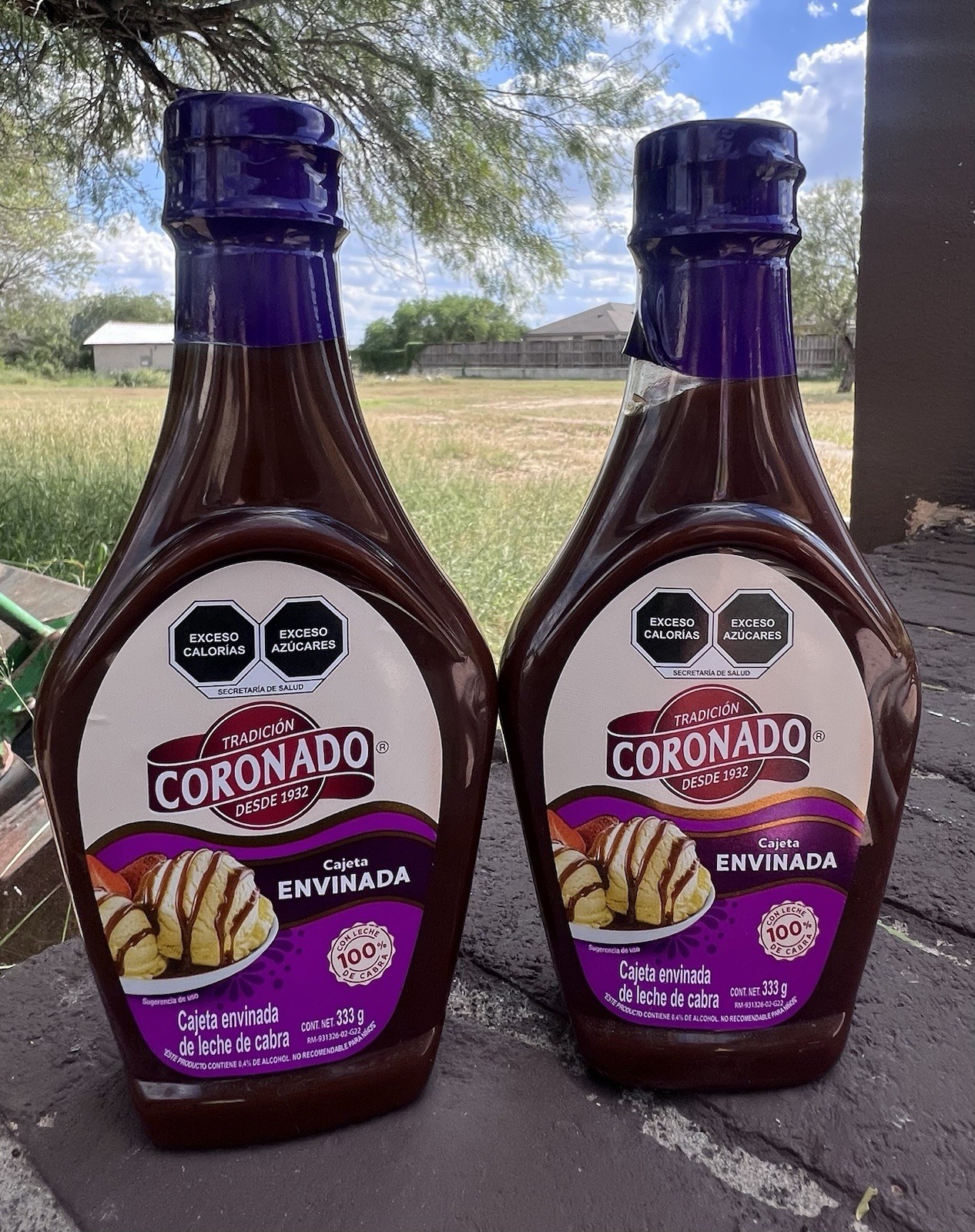 2 X CORONADO CAJETA ENVINADA 333g