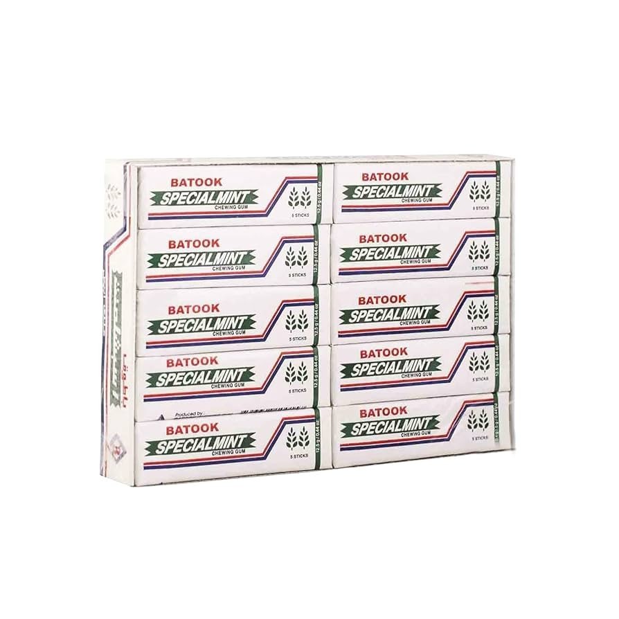 Batook 5 Sticks Special Mint Gum, 20 X 12g – Pack of 1