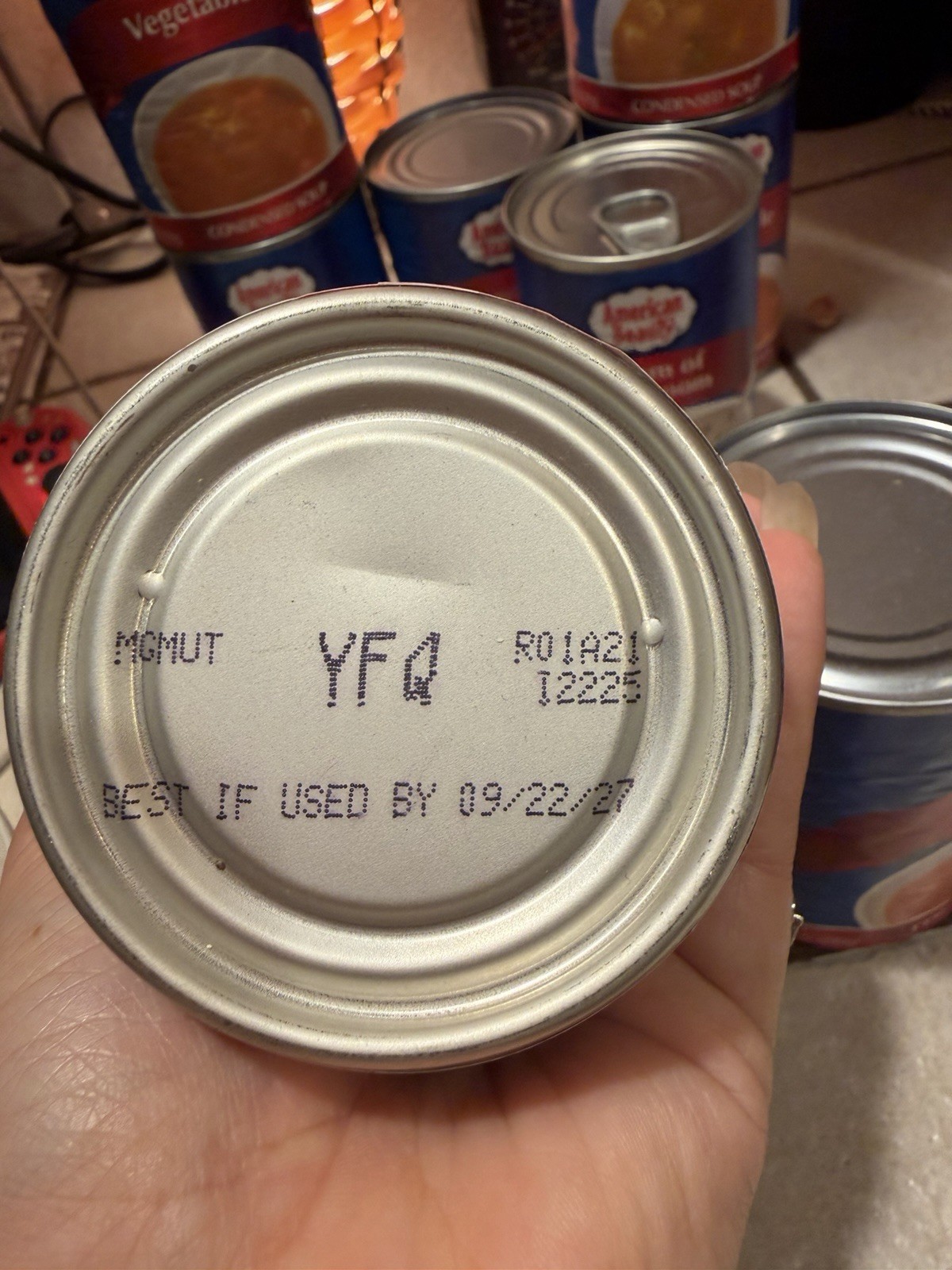 LOT OF 8 American Beauty Condensed Soup (6 x Vegetable; 2 x Cream of Mushroom)