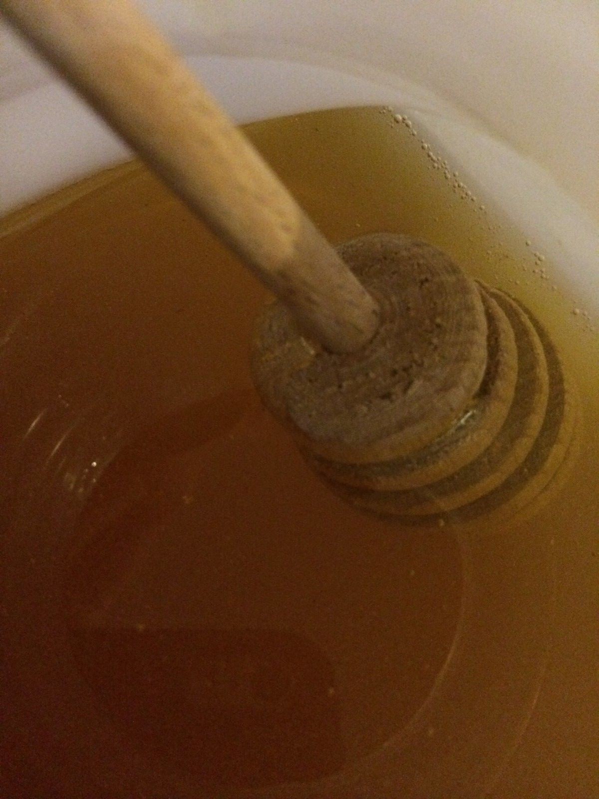 4 Gallons Lot RAW WILDFLOWER Honey Pure Natural non-filtered-Fresh-SHIPS FREE!