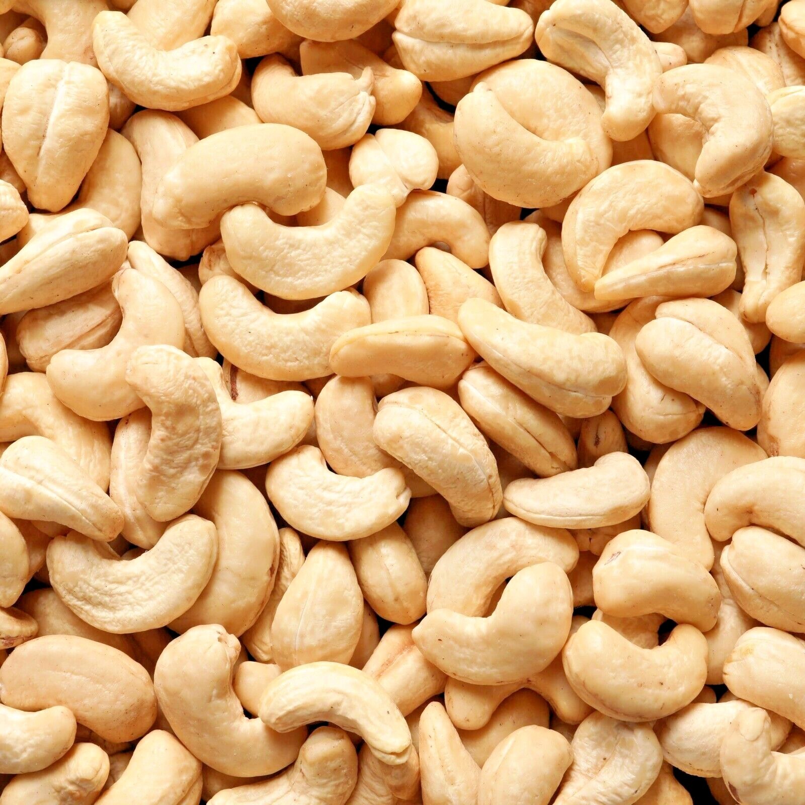 Raw Cashew Nuts Whole Pieces White Wholesale – 1kg 2kg 5kg 10kg 20kg 40kg Bulk
