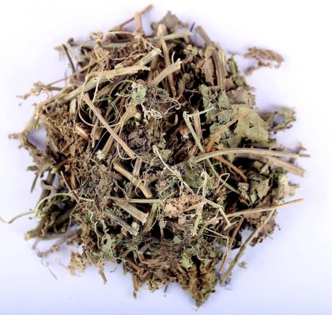 Patol Patra – Patola – Trichosanthes Dioica – Pointed Gourd – Pure & Natural