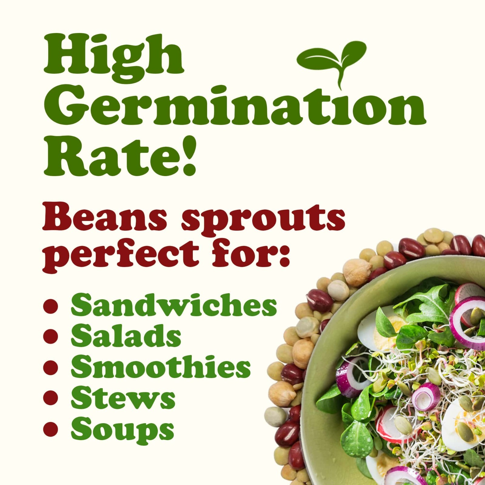 Organic Crunchy Mix of Sprouting Beans — Non-GMO, Kosher, Non-Irradiated, Vegan