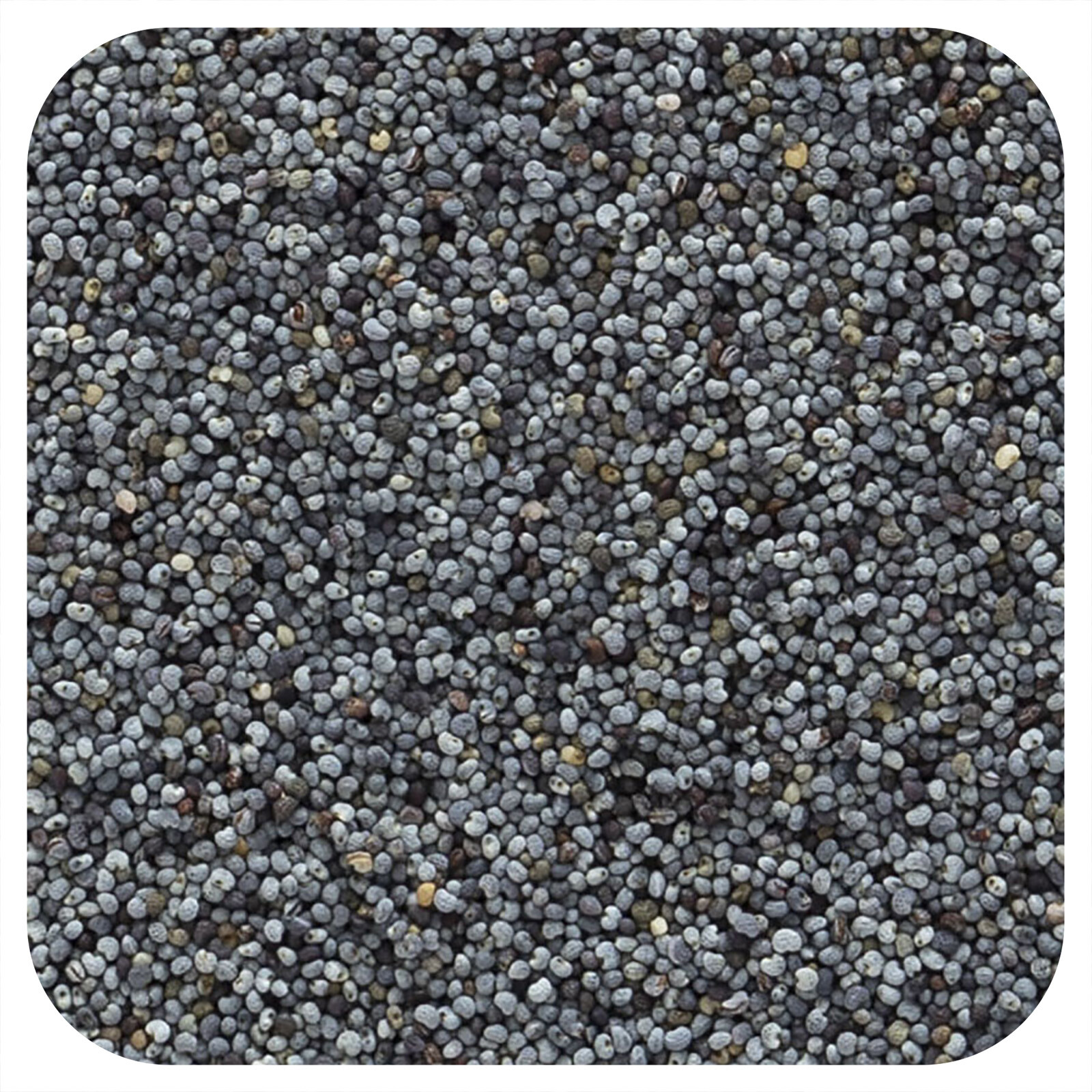 Frontier Natural Products Organic Whole Poppy Seed 16 oz 453 g Kosher, Organic