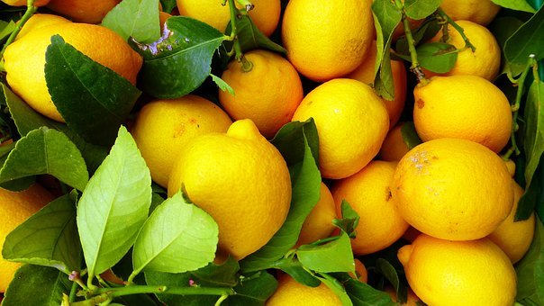 Lemon fruit powder 32oz 2lb – quick lemon juice mix well in water, vit C – PAJE