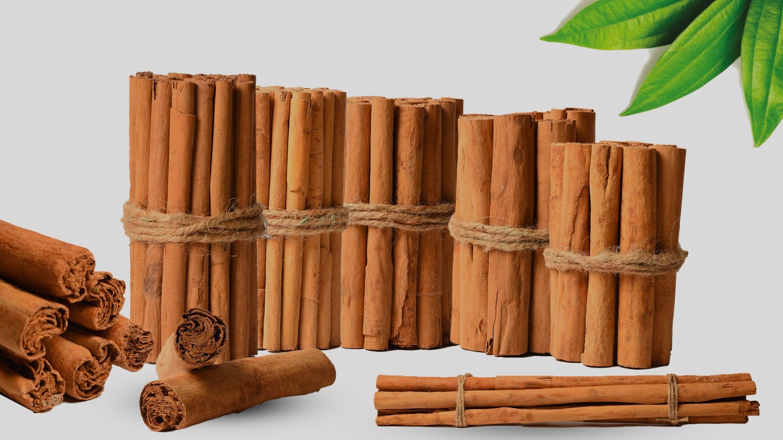 CEYLON PURE QUALITY NATURAL TRUE ALBA CINNAMON STICK SRI LANKA 1kg Free Shipping