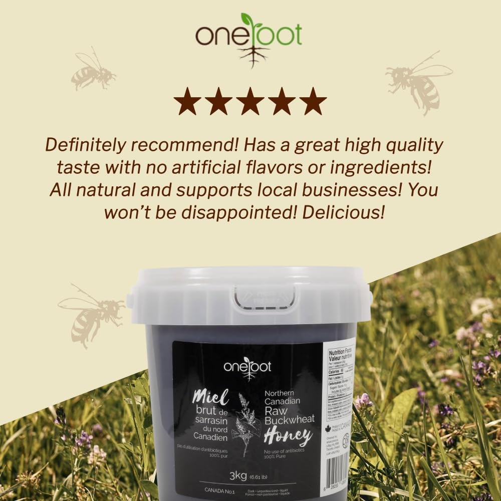 OneRoot Raw Buckwheat Honey – 6.6 lbs, Unheated & Unprocessed Dark – Nutrient…