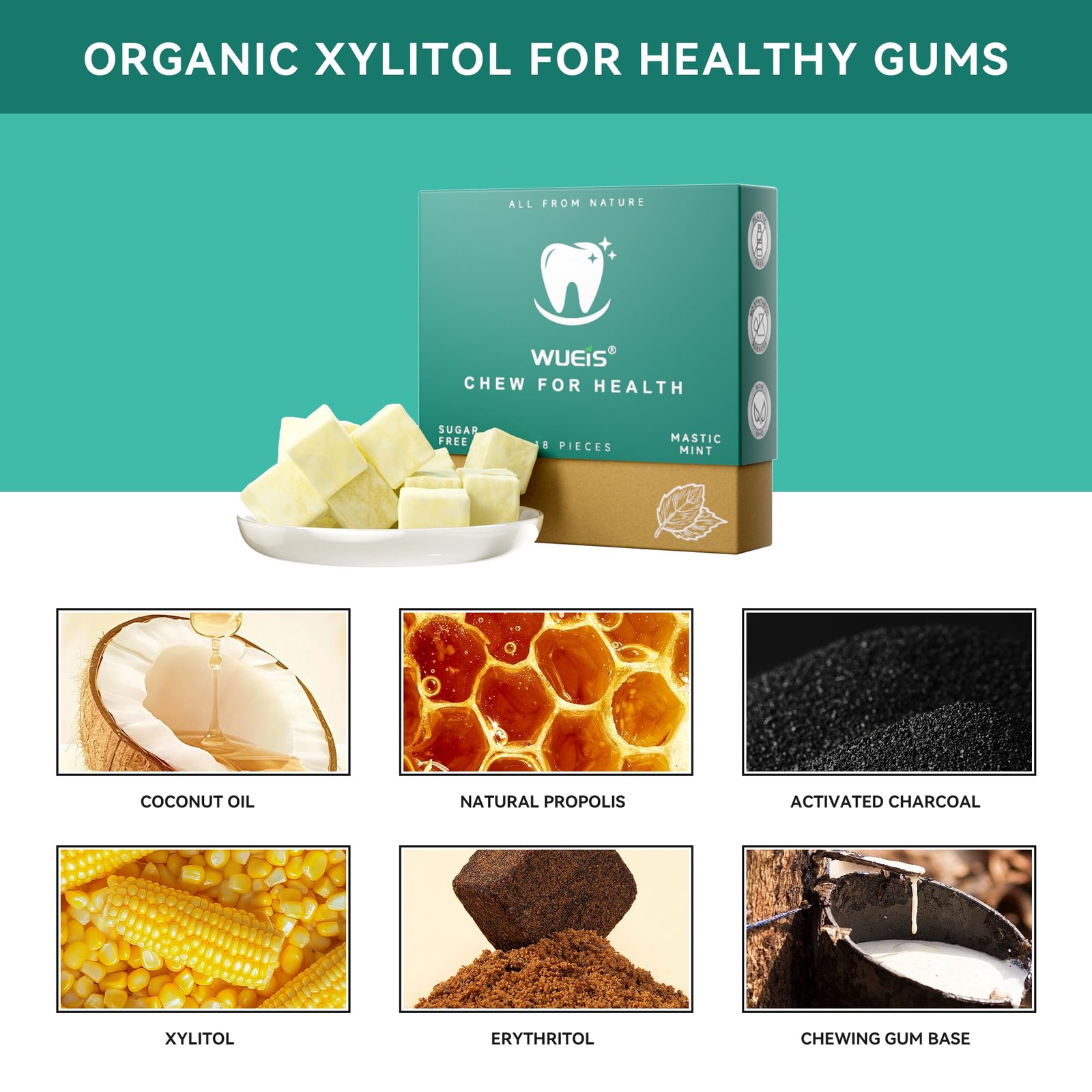 Remineralizing Chewing Gum Frankincense Mint 4-Pack 18 Sugar-Free Pieces