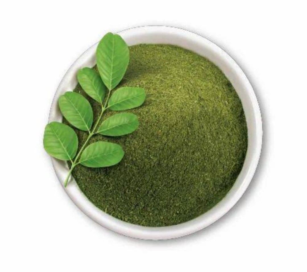 Organic Pure Moringa Oleifera Leaf Powder Fresh Premium apothecary Moringa leaf