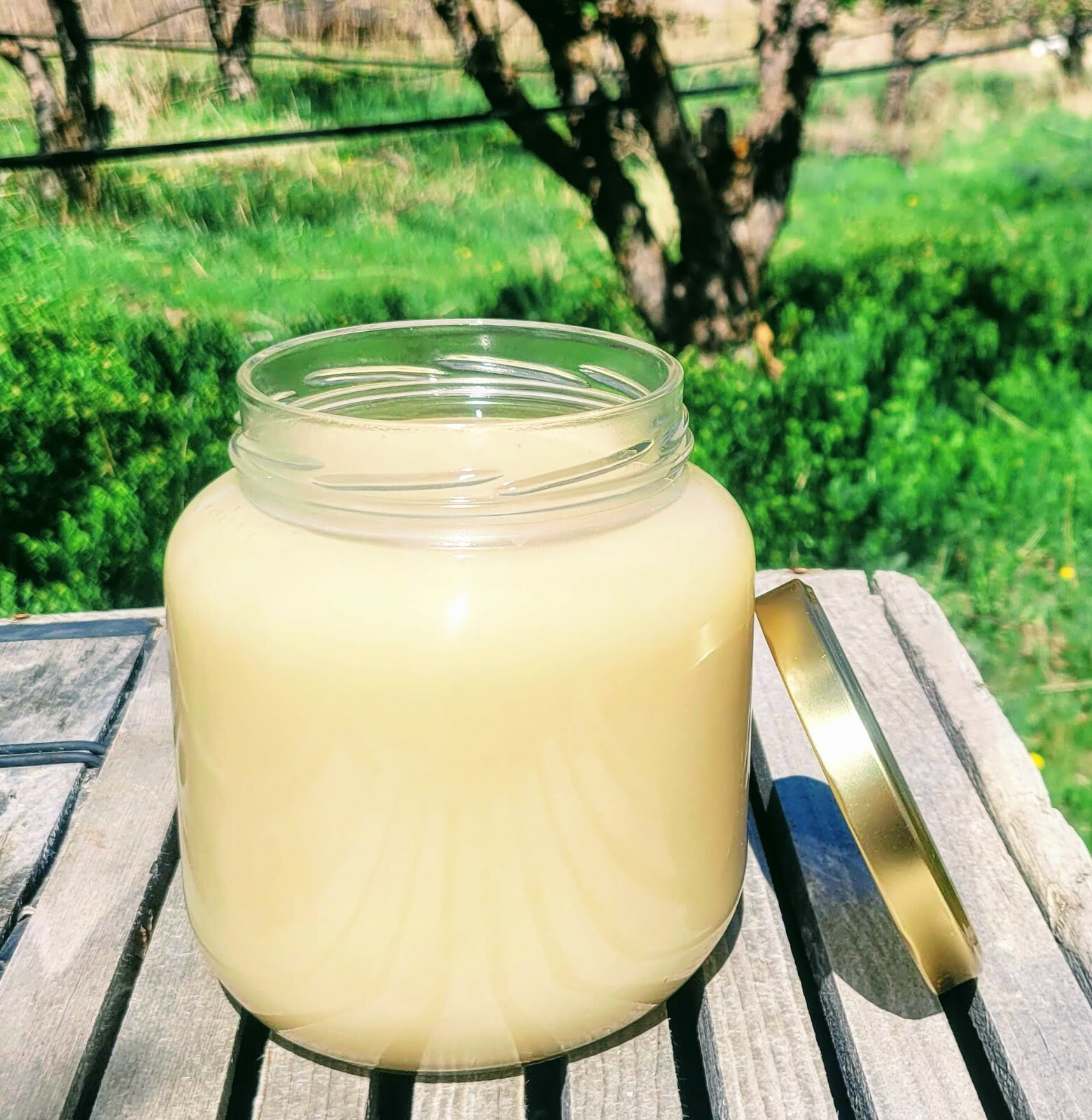 100% Pure Organic Creamed Honey – Raw 5 LBS in Glass