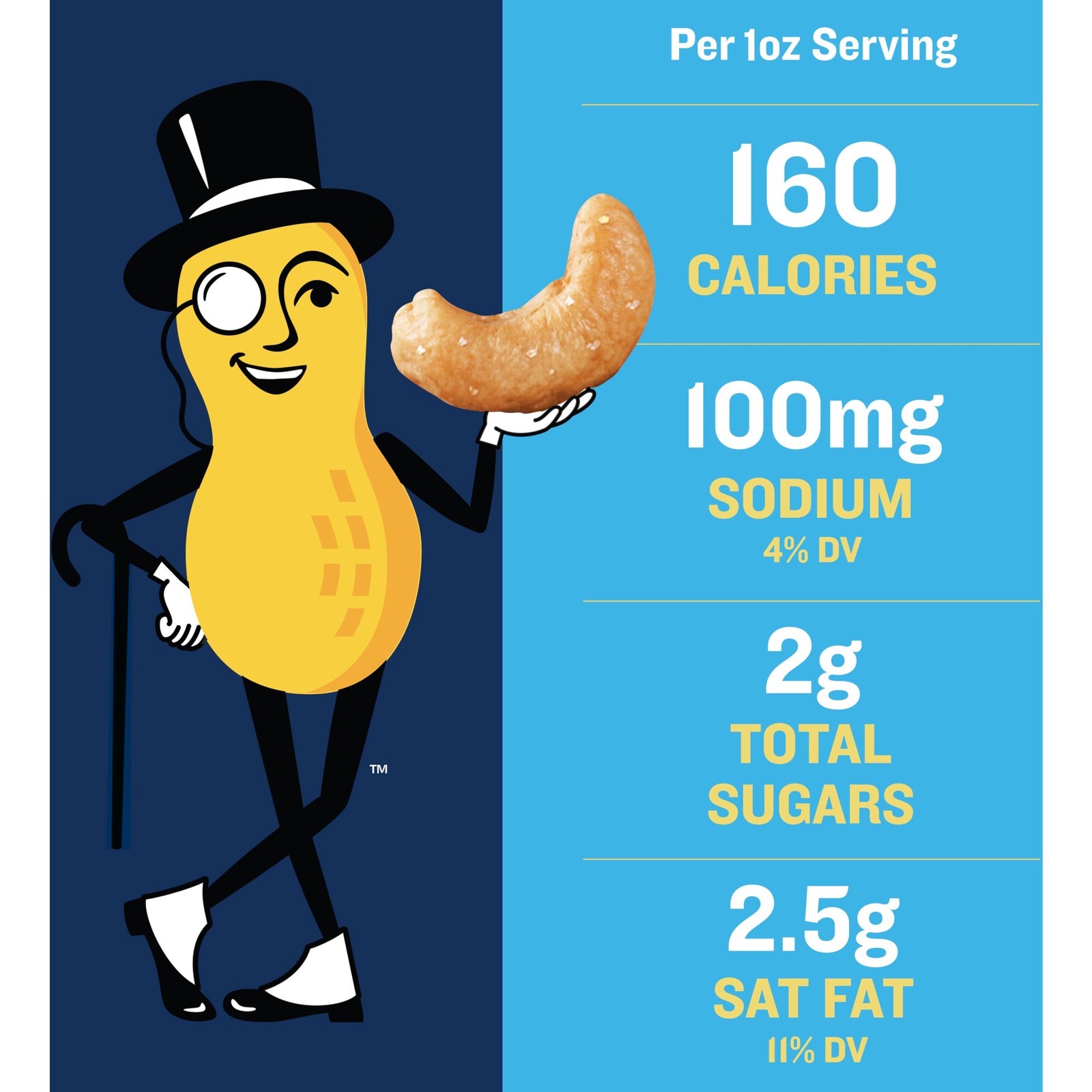 PLANTERS Salted Cashews, Roasted 2 Ounce (Pack of 15), No Color