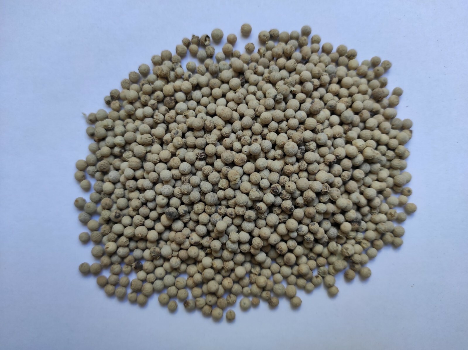 Whole White Peppercorns White Pepper 85 – 950 grams Class A