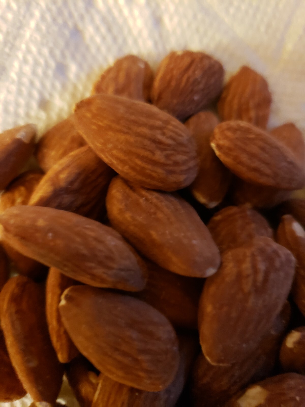 Almonds Roasted Grown to Organic Standards NO ADDITIVES Unsalted CURRENT crop !