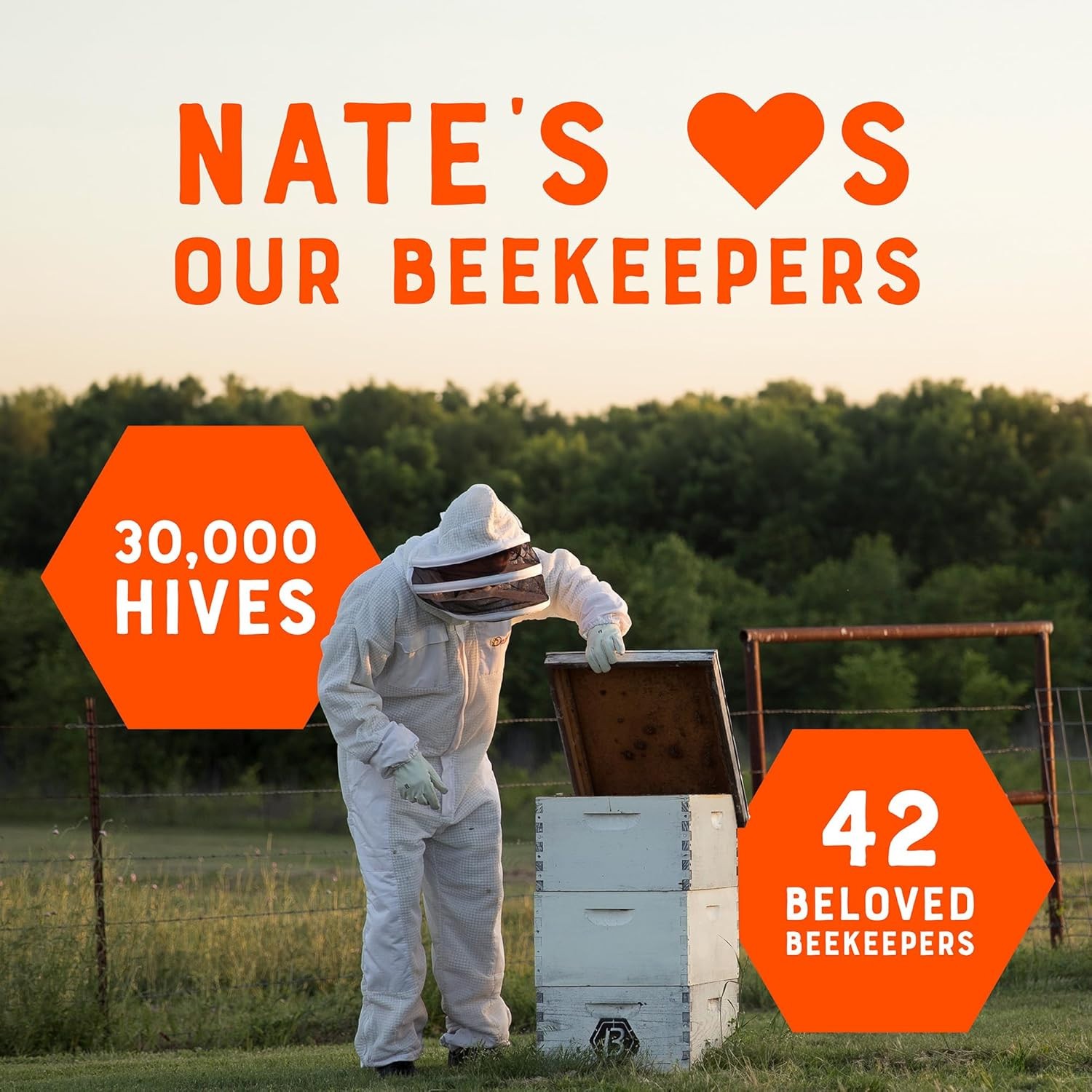 Nature Nate’s 100% Pure, Raw & Unfiltered, All-natural Sweetener Honey(Pick Size