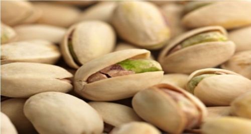 Premium Quality California Roasted Unsalted In shell Pistachios Fresh Crops