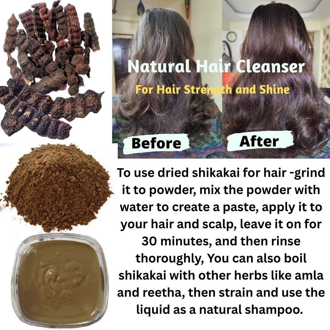 Shikakai Acacia Concina Indian Organic Herb Dry Pods Hair Growth & Care 100gm