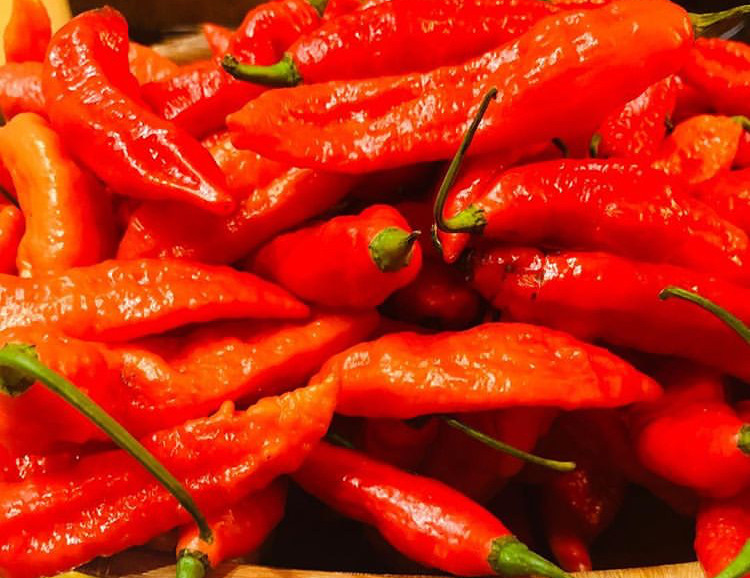 Carolina Reaper, Ghost, Scotch Bonnet, Habanero Peppers Organic Flakes VERY HOT!