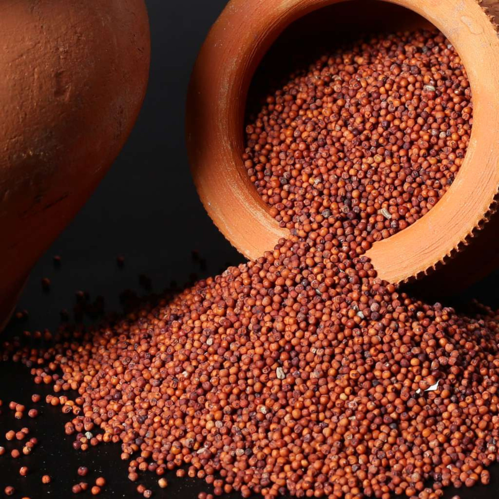 Finger Millet | Nachani | Ragi Seeds | Organic Whole Grains Premium Quality