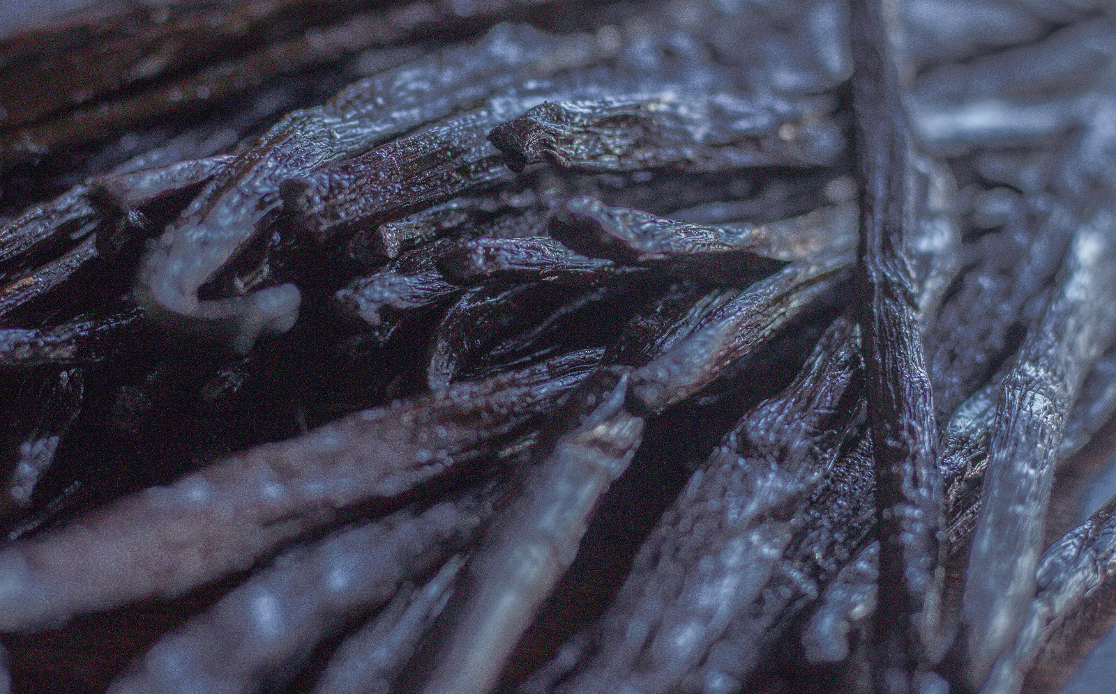 10 Madagascar Bourbon Vanilla Beans Grade A, Whole Beans for Baking and Extract