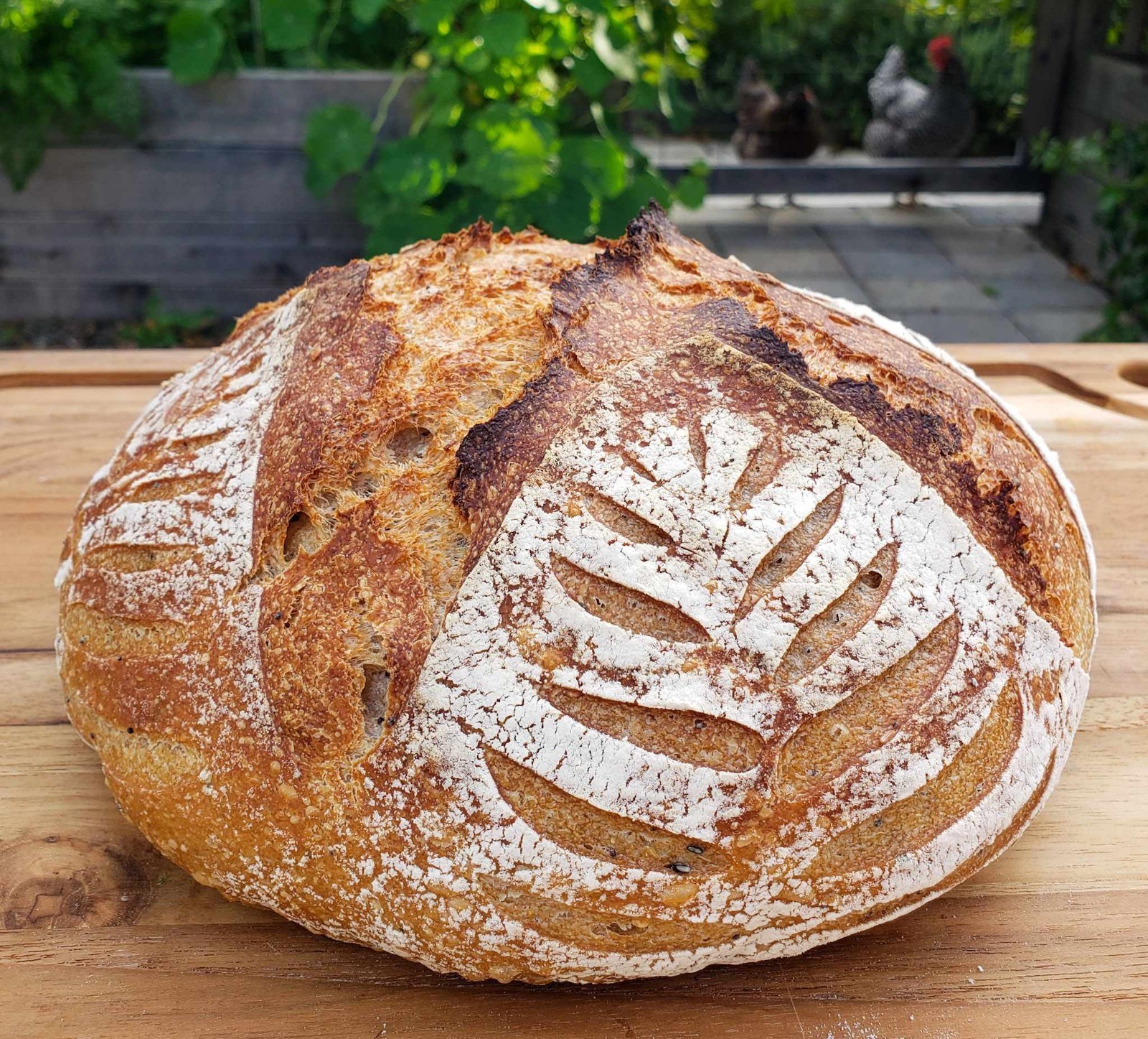 Sourdough Dehydrated Starter Sour – Gulf Coast – 15 Gram Bag