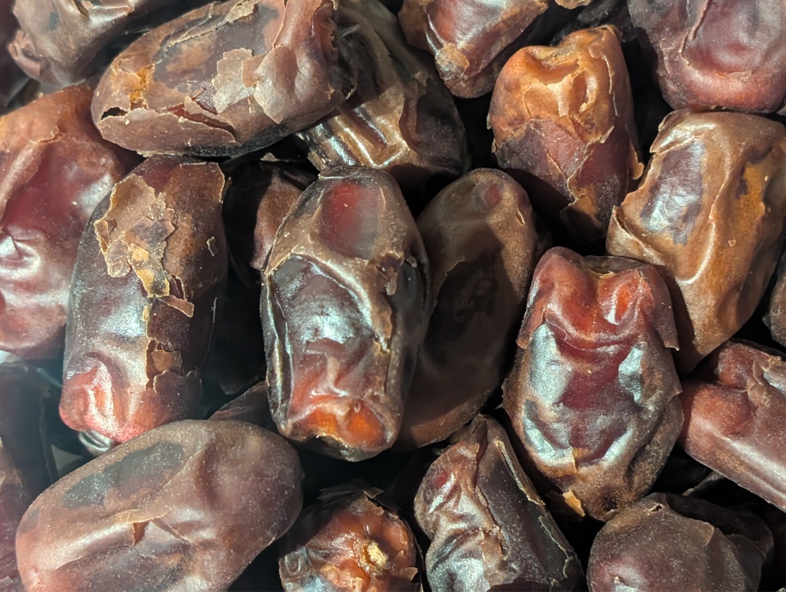 ORGANIC FRESH KOSHER DATES FROM DUBAI – 2 Pounds for $20.