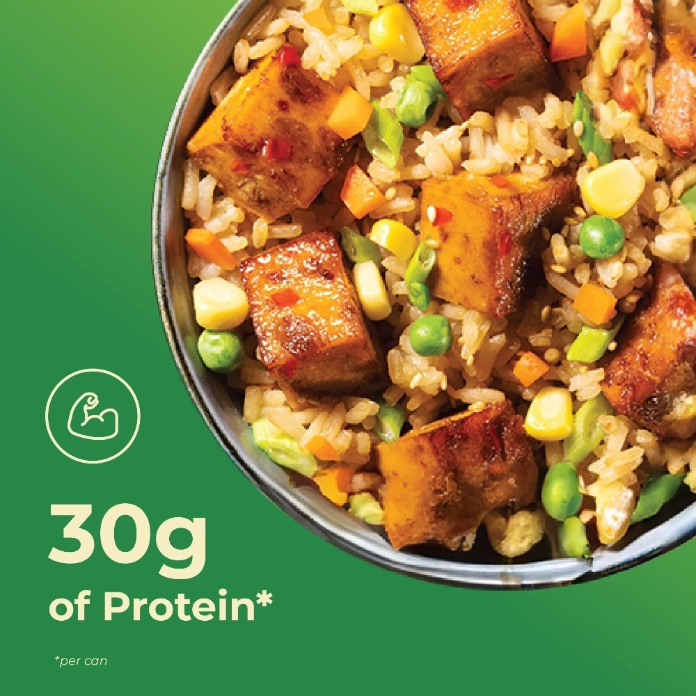 Plant-Based Vegan Luncheon Meat Hot Spicy Flavor Canned 11.6 oz 2 Pack