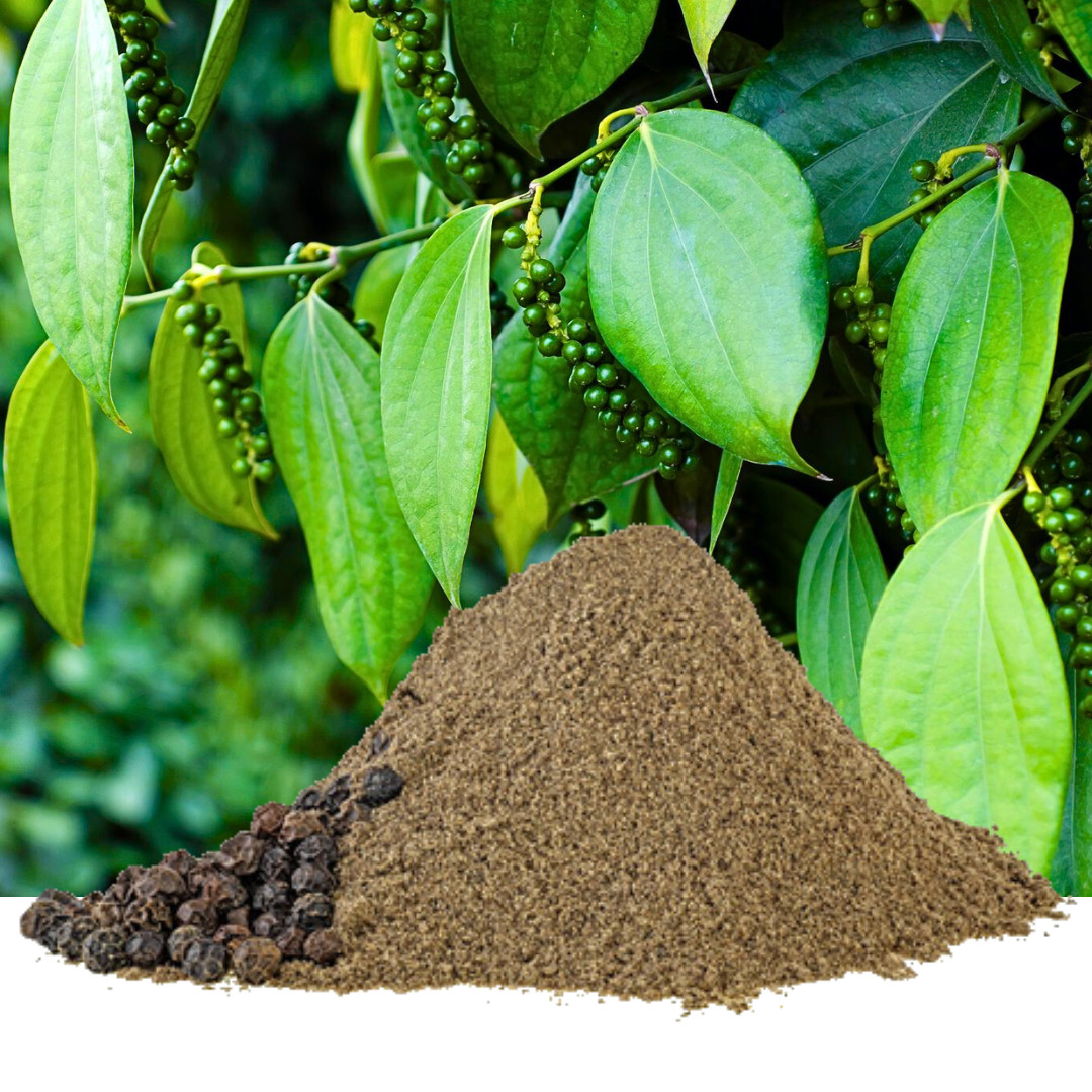 Black Pepper Powder | 100% Pure Natural Organic Peppercorns | Premium Spices