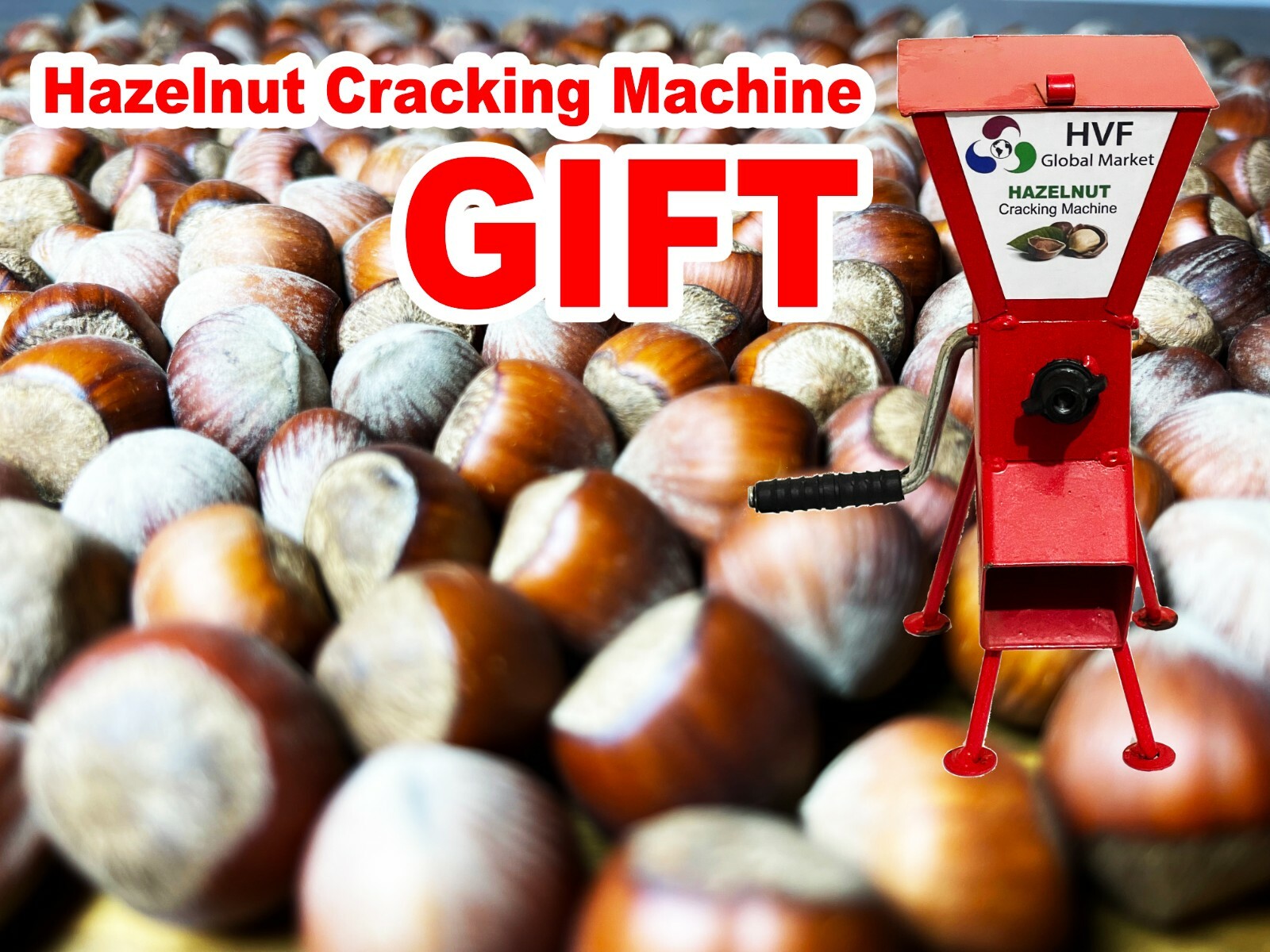 Hazelnuts in shell (7,5 LBS) (3 KG) + GIFT CRACKING MACHINE new crop from Turkey