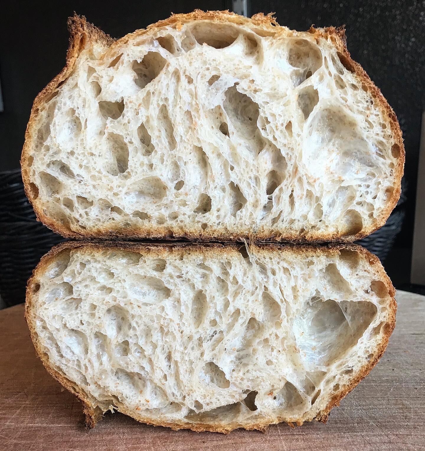 SOURDOUGH STARTER Dehydrated Sour – Alaskan’s ALYESKA – 15 Gram Bag