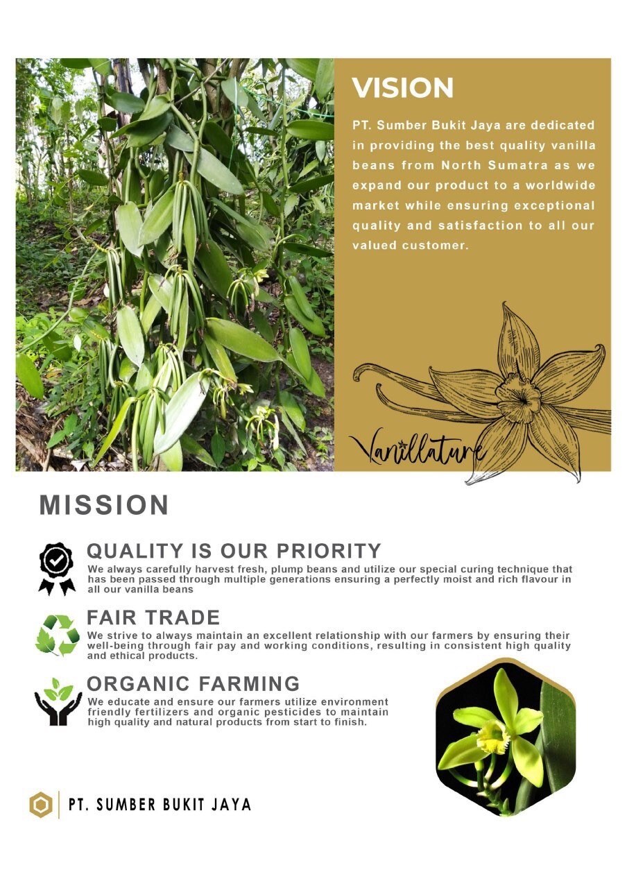 1/4lb Premium Sumatra Gourmet Bourbon Vanilla Bean Pods Grade A – Vanillature