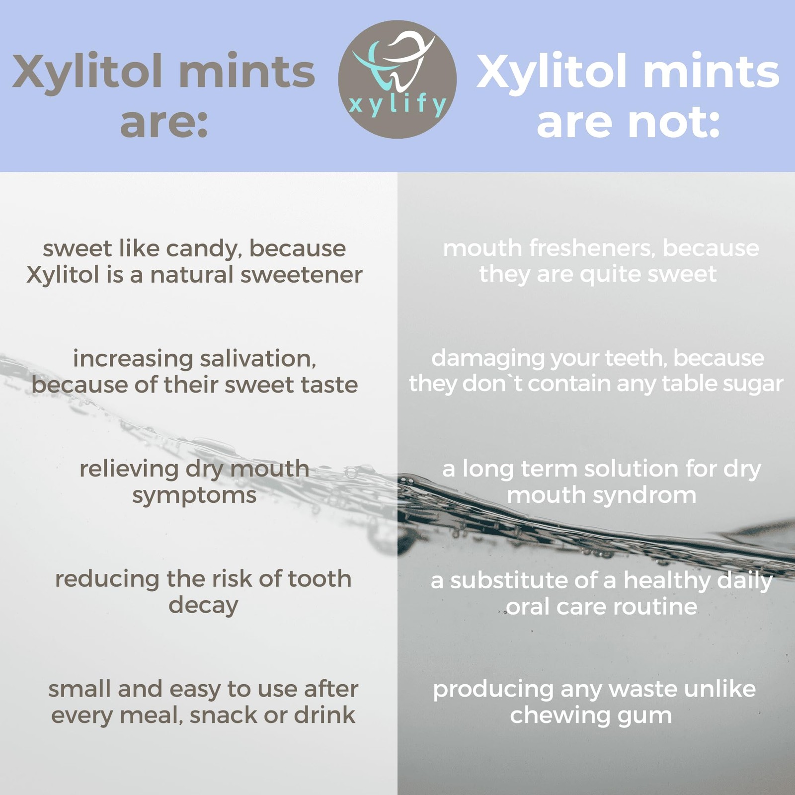 Xylitol Mints Wild Berries Sugar Free 5oz 245 Count for Oral Care