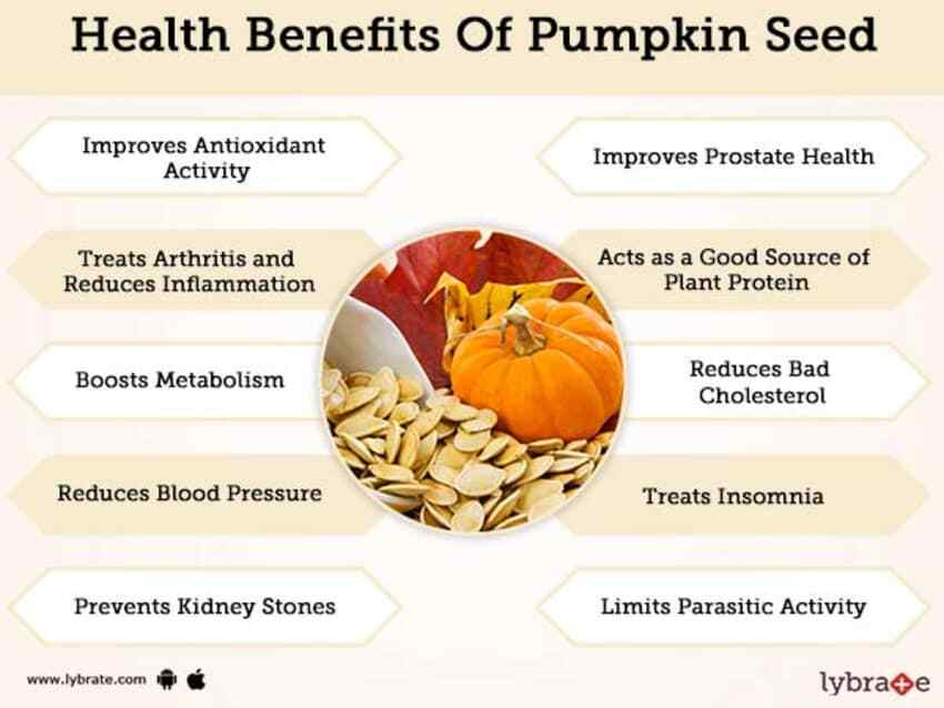 Shelled Pepitas Pumpkin Seeds Kernels Raw Bulk Fresh Natural Grown Non-GMO