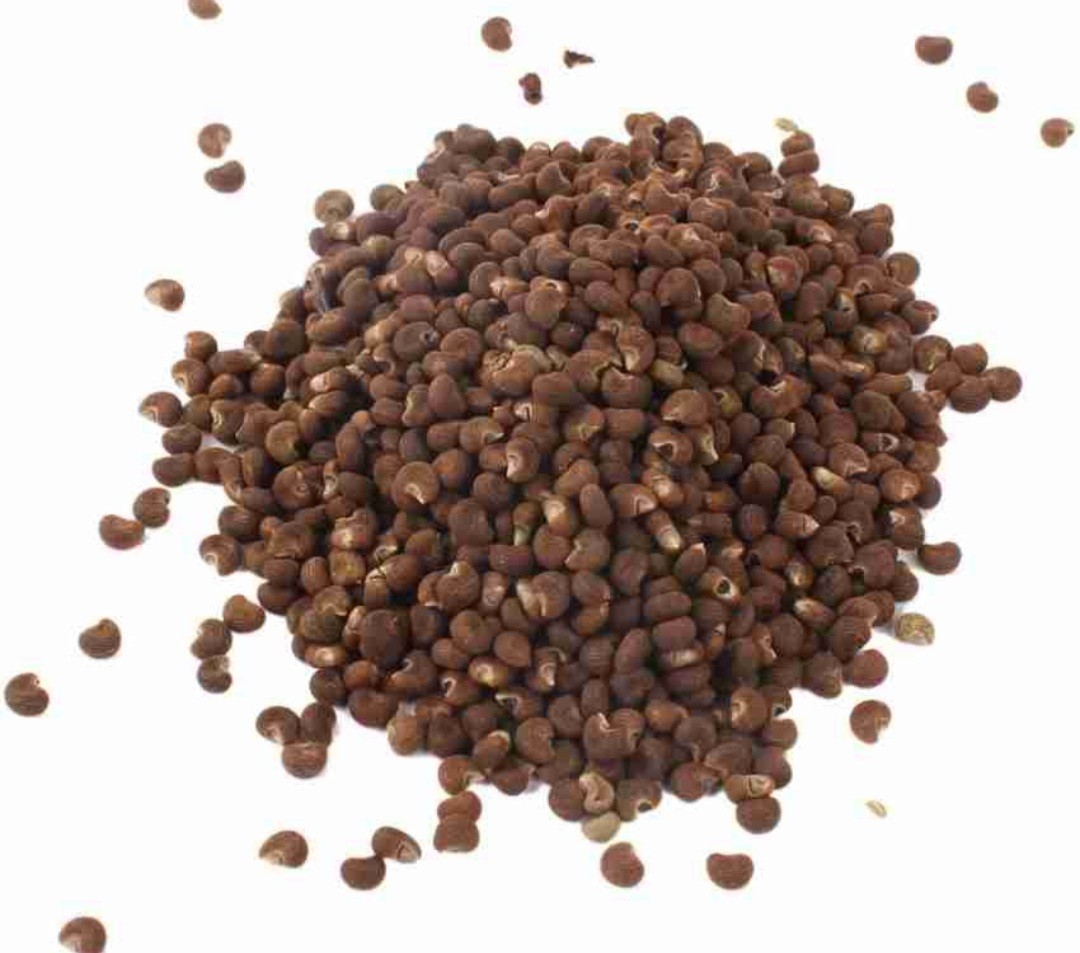 Mushk dana- Ambrette Seed -Musk Dana-Muskdana-Raw herbs-Jadi Booti- Singal Herbs