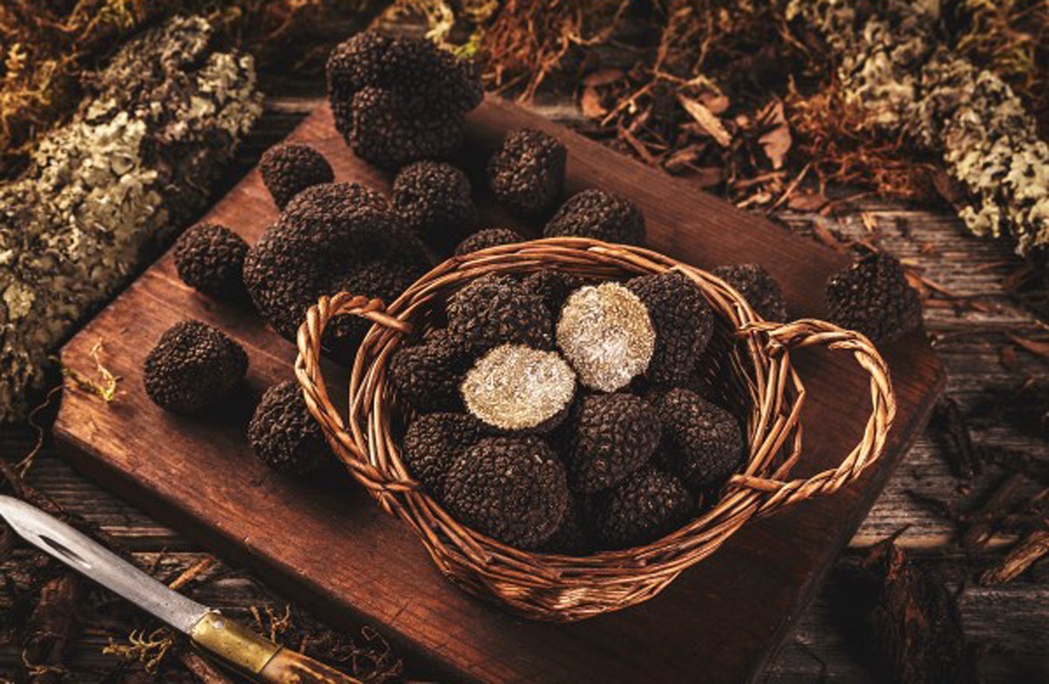 Fresh Black Summer Truffle Tuber aestivum or Scorzone I quality Fresh 500 gr