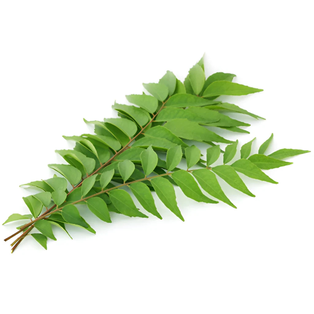 Dried Curry Leaf 500g 100% Organic Natural Ayurvedic Herb & Cooking Spice +DHL