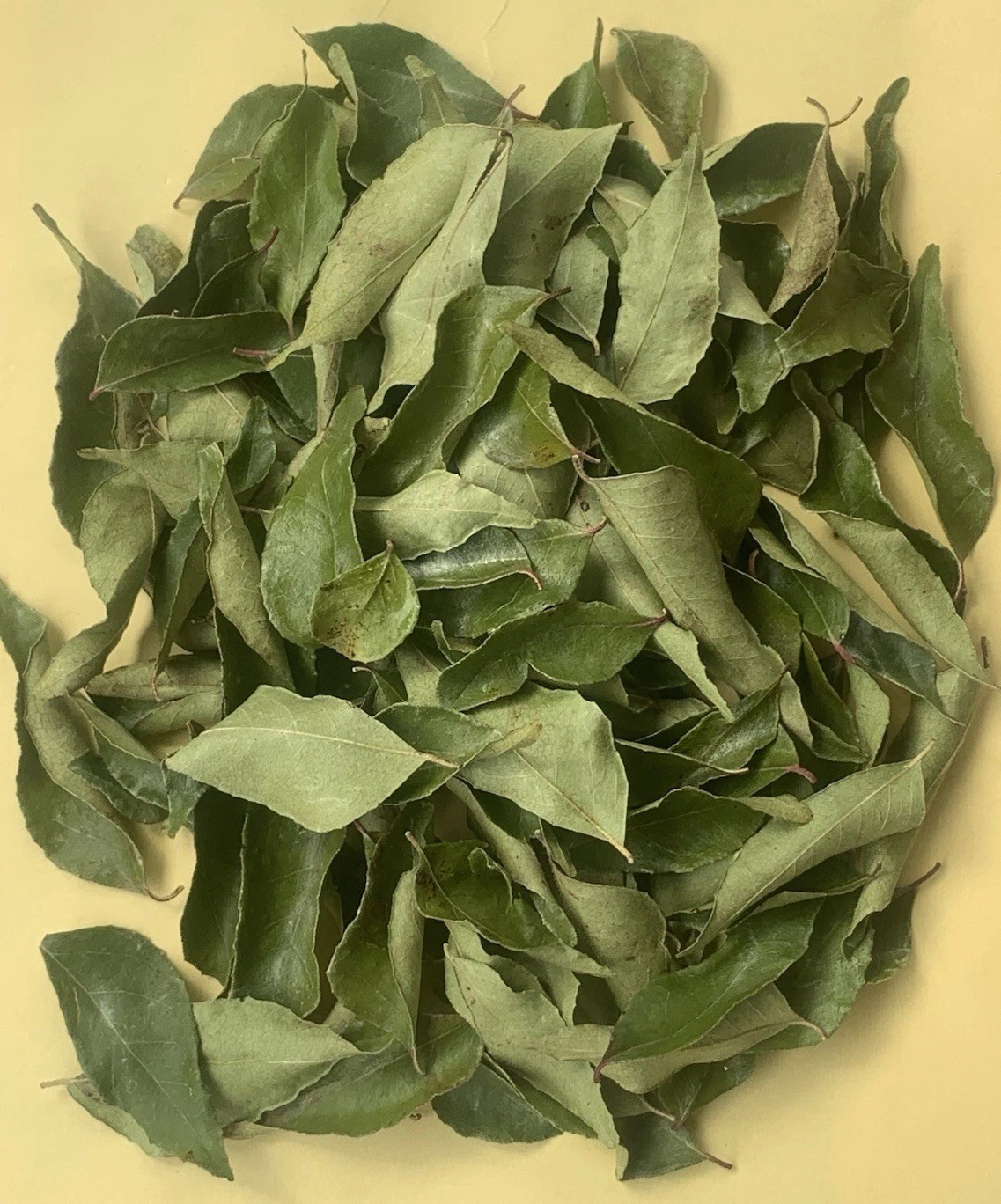 Dry Curry Leaves From Florida 1.8oz bag