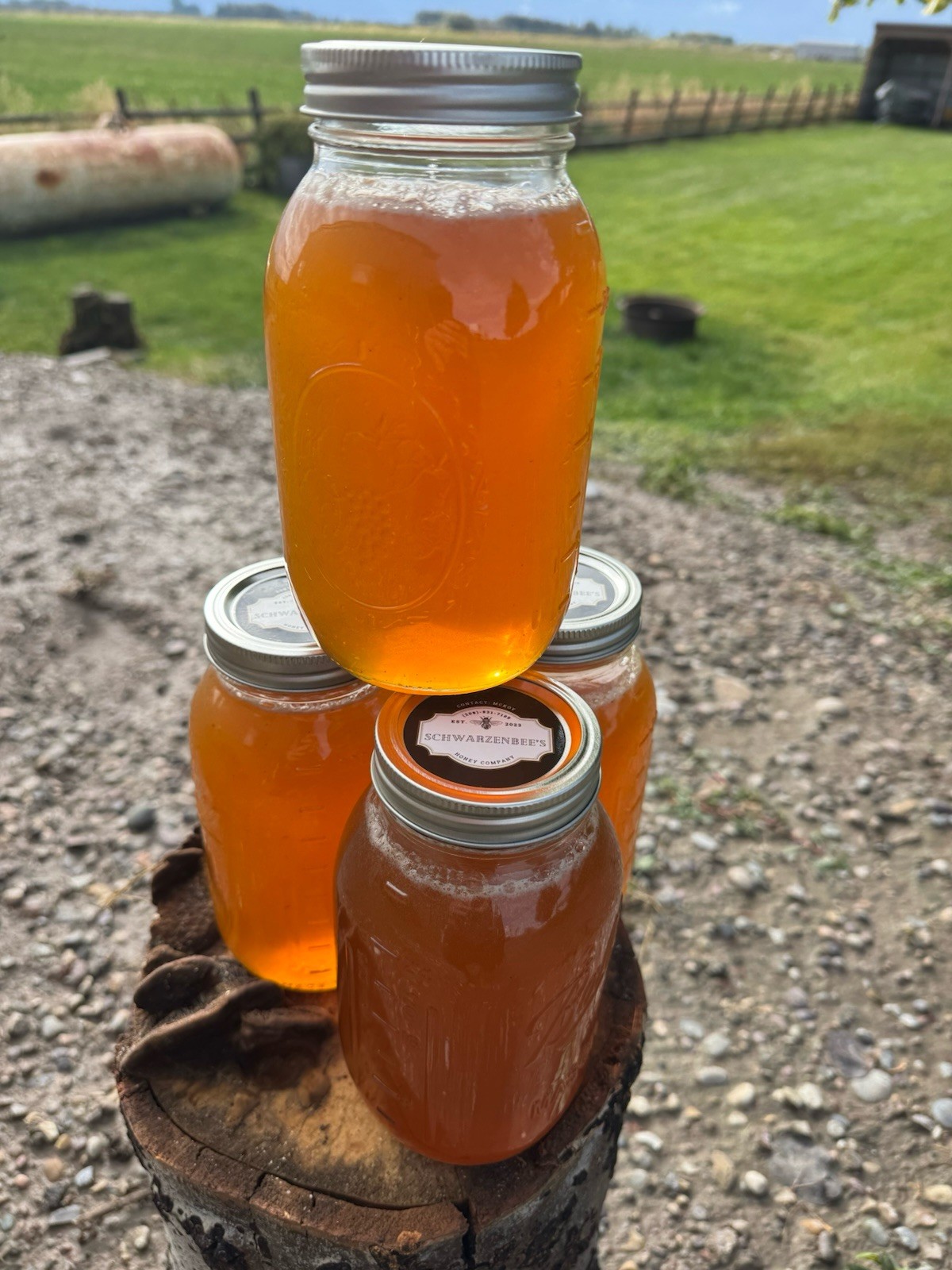 Schwarzenbee’s Honey Glass Jar – Honey in Jar Form