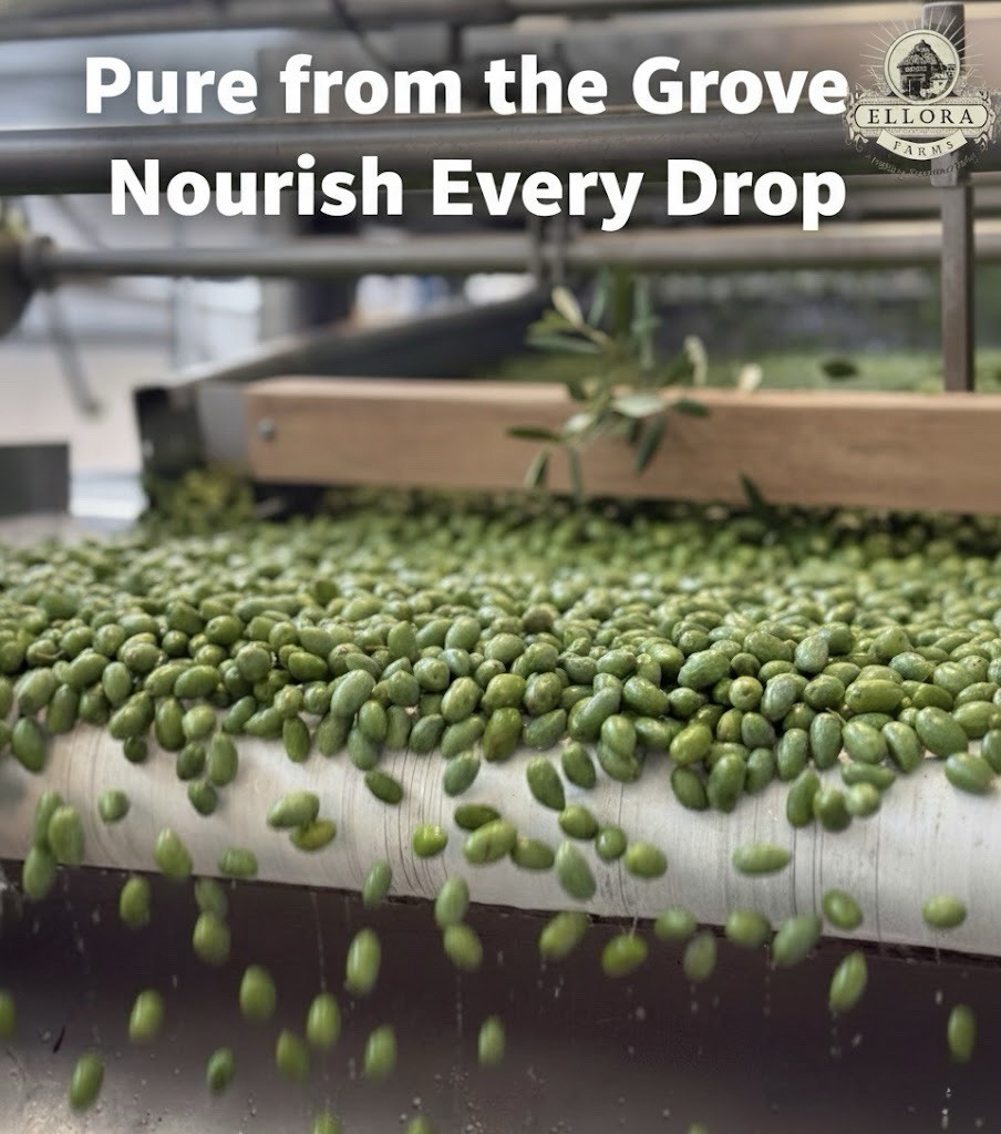 Single Estate SITIA, Greek Extra Virgin Olive Oil, Kosher, Traceable, 34oz (1Lt)