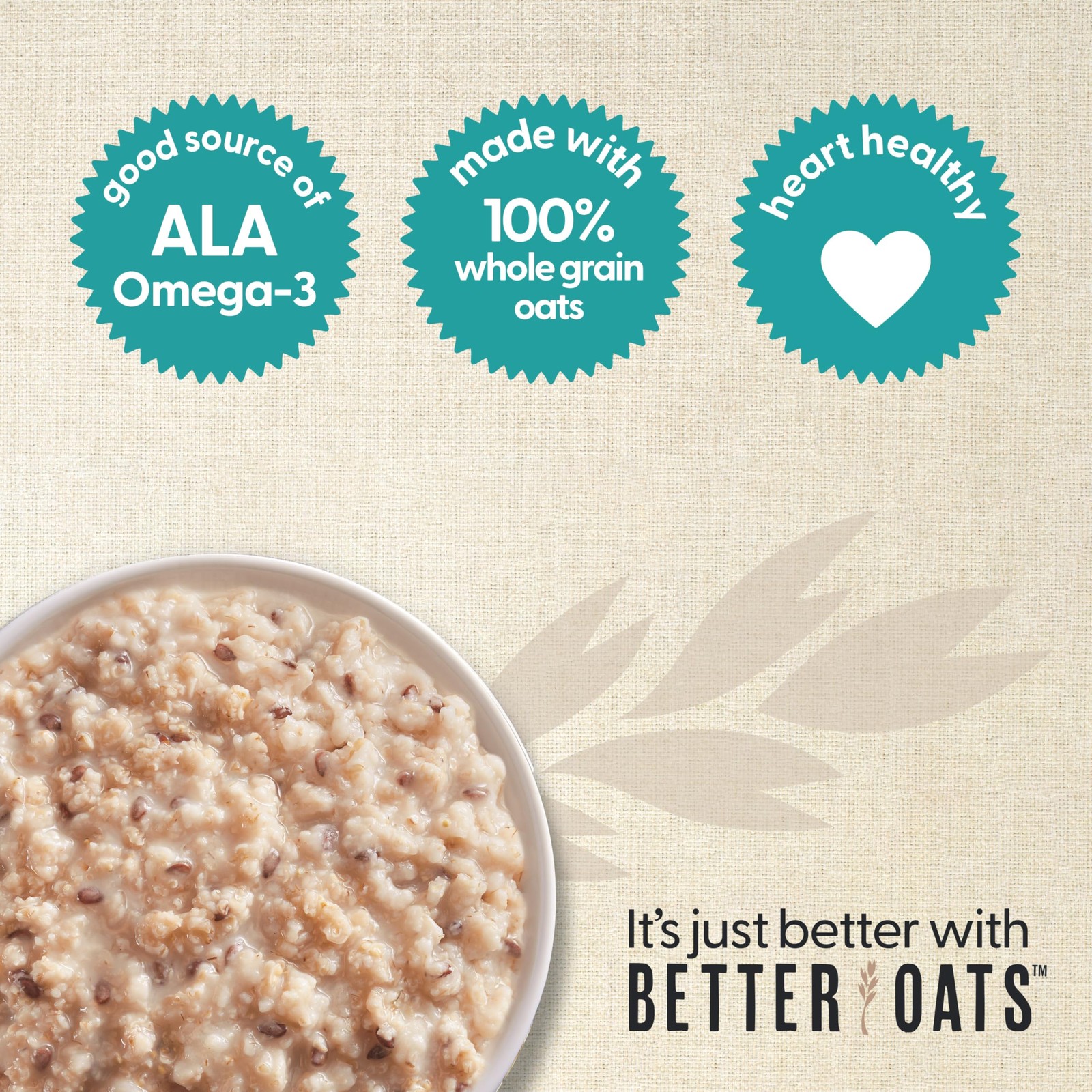 Better Oats Maple Brown Sugar Steel Cut Oatmeal, 10 Pack, 15.1 OZ