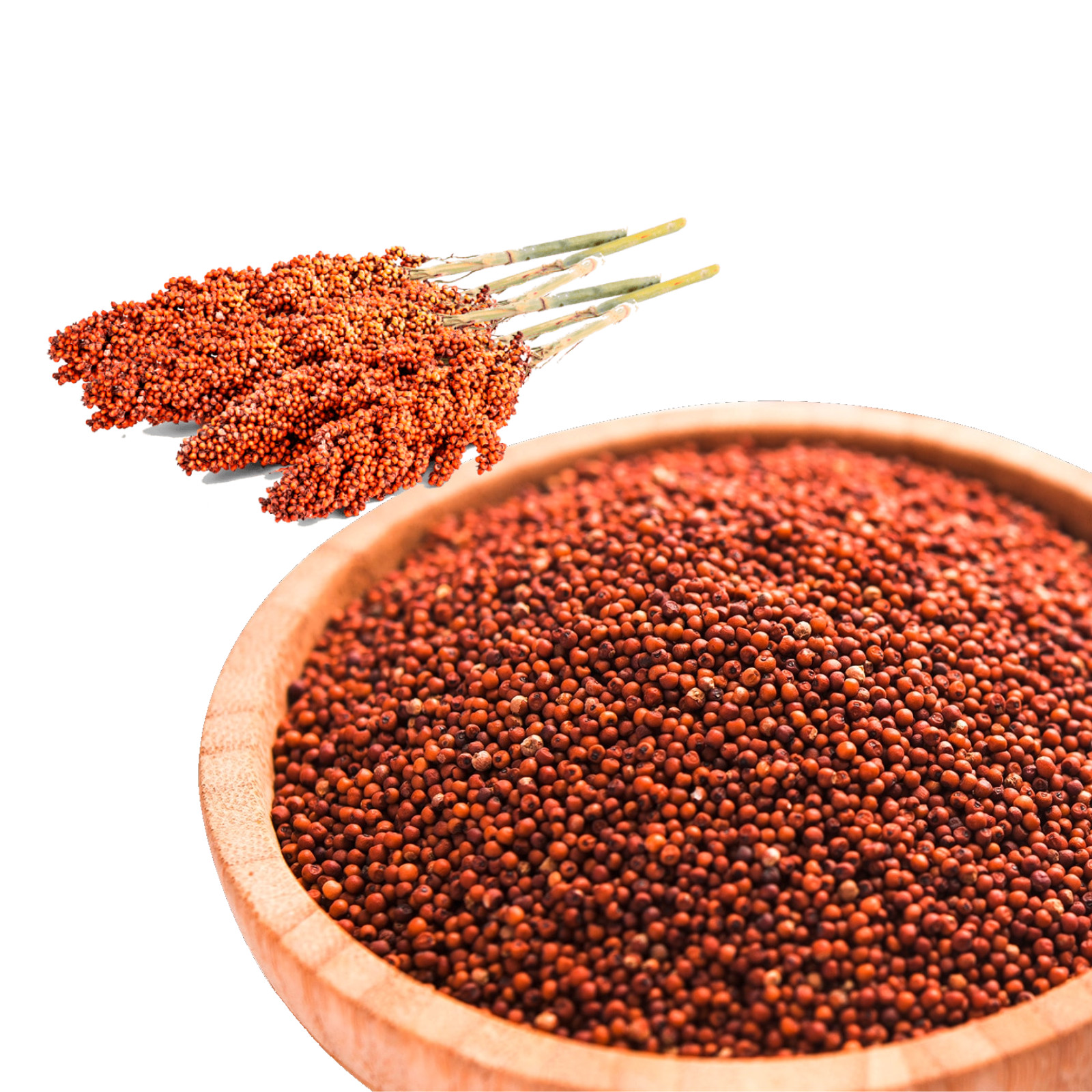 Finger Millet | Nachani | Ragi Seeds | Organic Whole Grains Premium Quality