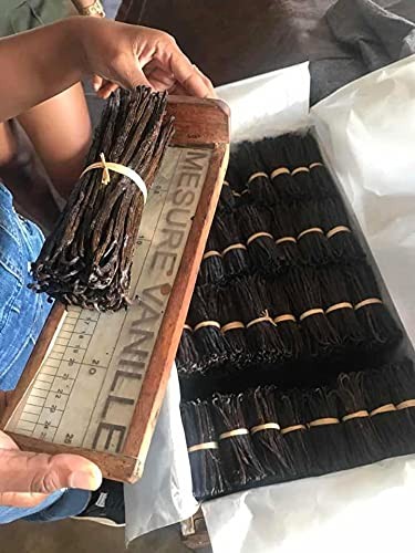10 Madagascar Vanilla Beans Grade A Whole Vanilla Pods for Vanilla Extract an…