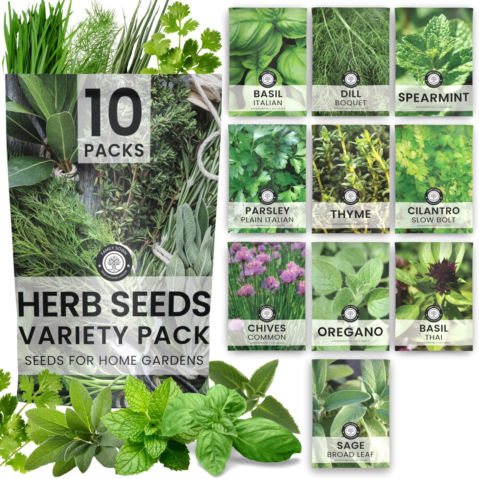 Herb Seeds | 10 Individual Packs | 2026 Season | Non-GMO | Mint, 10 Pack