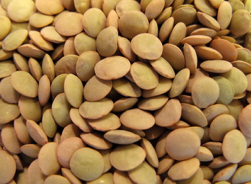 DRIED LENTILS Bean Bulk Wholesale Size Lot 2 4 6 10 20+ LBs PANTRY DINER KITCHEN